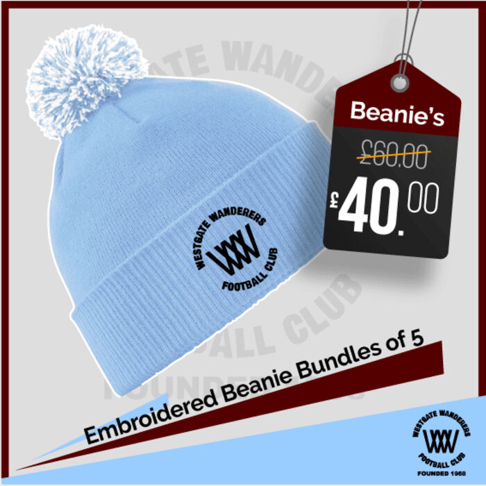 Beanie Bundle x 5 Thumbnail